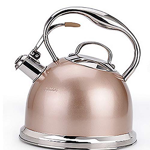 Bouilloire  Gaz En Acier Inoxydable,Pink