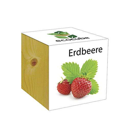 Preisvergleich Produktbild ecocube Holzwürfel - Erdbeere