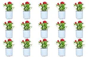 Rochfern Grow Bags (Pack of 15) Small Size-30x16x16cm, UV Treated Portable. 100% Virgin Polyethylene Grow Bag Perfect for Terrace, Balcony, Kitchen Vegetables Garden, Flats