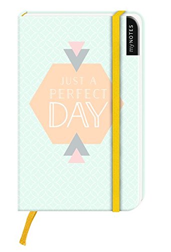 Preisvergleich Produktbild myNotes: Just a Perfect Day / Notizbuch klein / blanko