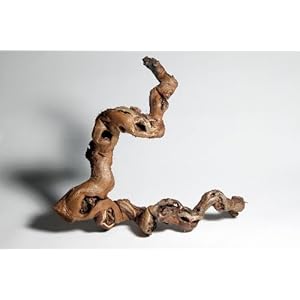 Rebwurzel groß, Länge: ca. 60cm