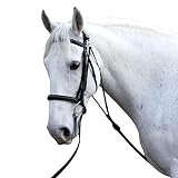 Eine Trainingshilfe, die ein Pferd dazu ermutigt, seinen Kopf in einer langen und niedrigen Position zu tragen, wÃ¤hrend es sich auf der Longe befindet.
