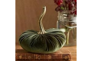 FAHRTSEEK Samt Kürbis Deko, Herbstdeko Kürbis, Autumn Aesthetic Halloween Thanksgiving Herbst Dekoration (Grün,20cm)