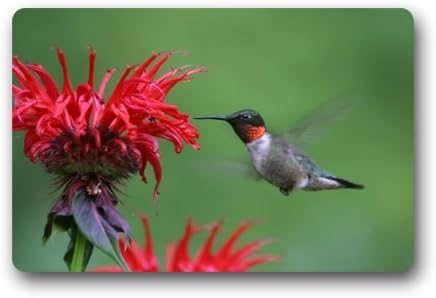 Custom Machine-washable Door Mat Hummingbird with Flower Indoor/Outdoor Doormat 23.6"(L) x 15.7"(W)
