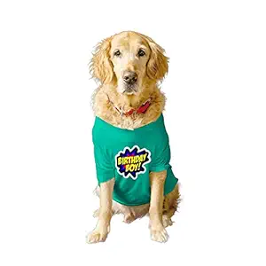 Ruse Basic Crew Neck Birthday Boy Printed Half Sleeves/Apparel/Clothes/T-Shirt Gift for Dogs.Colour-Aqua Green/X-Large (Full Grown Retrievers, Labs etc.)