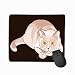 Produktbild Mousepad Custom Design Gaming Mouse Pad Rubber Oblong Mouse Mat 11.81 X 9.84 Inch British Shorthair Lilac cat Sits Ambush