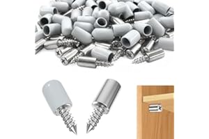 L&W LUCK Pack of 60 Shelf Brackets, Self-Tapping Screw, Floor Support Shelf Pins with Non-Slip Cap for Furniture, Cabinets, Bookcase (Silver)