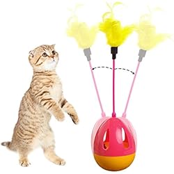 Vaso gato juguetes bolas interactivo gato juguetes bastoncillos con plumas