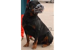 CHAMPION POUR L&J PETS UK Muselière pour Chien Champion pour Races de Type Rottweiler, Mastiff R2