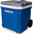 IGLOO Outdoor Latitude Cool Box