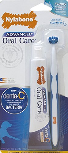 Nylabone-Corp-Bones-491333-Advanced-Oral-Care-Triple-Action-Puppy-Dental-Kit