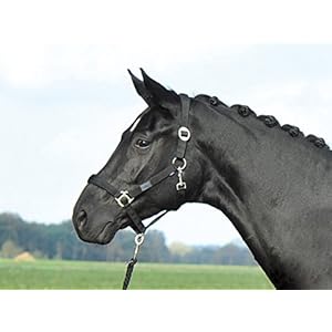 Busse Halfter SUPREME, Vollblut, schwarz