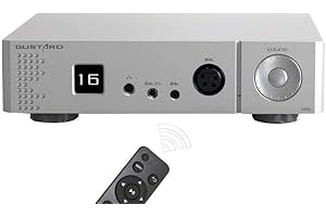 FANMUSIC GUSTARD H16 Preamplificatore Display OLED Amplificatore per cuffie bilanciato XLR/RCA Preamplificatore (Argento)