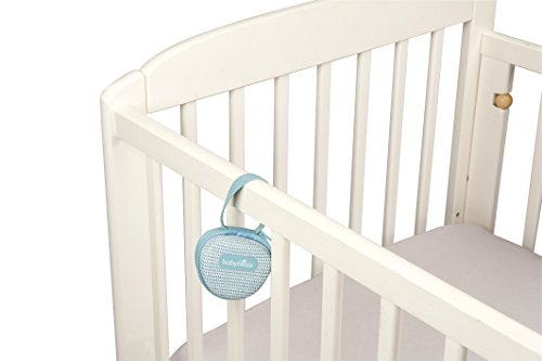 Babymoov A011202 Schnullerhalter Lovely Boy, türkis - 3