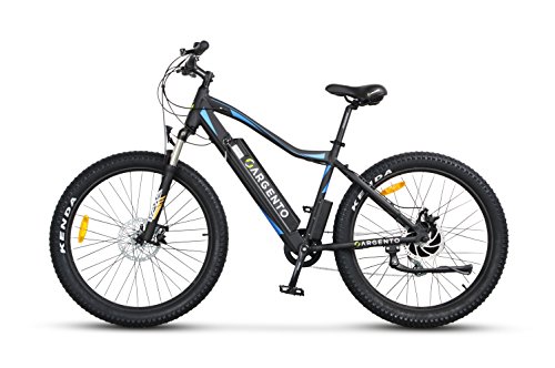€1,399.00 Argento Performance, Bici Elettrica Unisex Adulto - bikewebshop.it