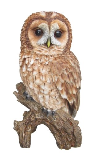 Vivid Arts Real Life Tawny Owl (Size B)