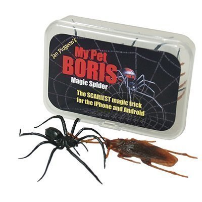 Preisvergleich Produktbild My Pet Boris Magische Spinne Pro Packung