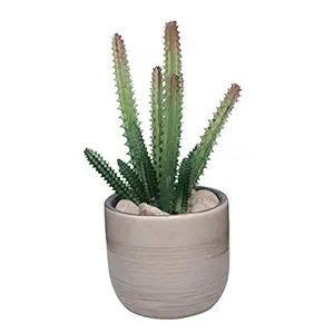 Deco aro Red Tipped Green Flora Cactus Arranged in a Brown Ceramic Pot - Centre Table Decor - Home Decor