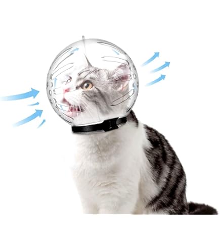 Museau Transparent Pour Chat - Capuchon Ajustable Pour Bain/toilettage - Trous Respirants