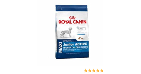 royal canin maxi junior active