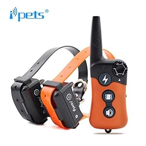 Ipets FilAnimal Petrainer Pet619 Original, 300 Metros para 1 o 2 Perros a la Vez 100% Sumergible – 3 Modos – Funcionamiento Sencillo. Diseño ergonómico y pequeño. Pet 619