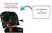 Hairdressing Belmont Chair Back Cover (Round Corner) - Salon Barber Spa Professional Plastic Vinyl Cover