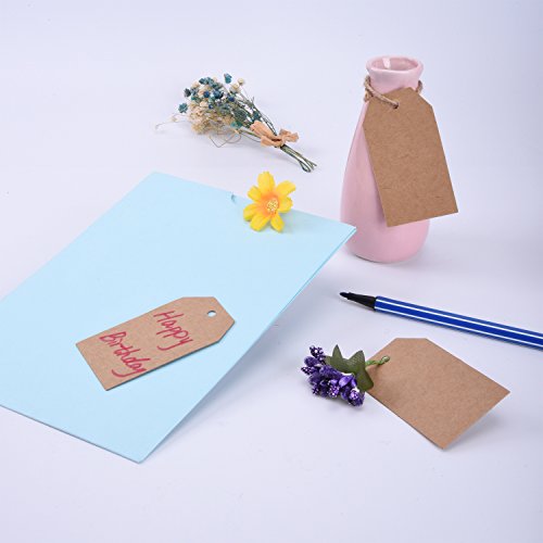 100 Piezas Etiquetas de Papel Kraft Etiquetas de Regalo en Blanco Tarjetas de Manualidades Material de Boda Etiquetas Colgante con 30 Metros de Cordel
