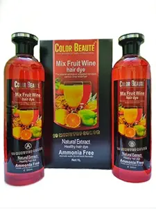 R A Products Color Beaute Mix Fruit Wine Hair Dye (500ml*2) - Black