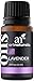 Produktbild ArtNaturals 100% Naturreines Ätherisches Lavendelöl - (.5 Fl Oz/15ml) - Lavender Essential Oil - Lavandula Angustifolia - Bio Lavendel - Zur Aromatherapie und Einreibung