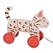 Bigjigs Toys Pull Along (Cat)