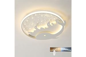 DUNMW Creux Dauphin LED Plafonnier Chambre d'Enfant Plafonnier Lustre pour Garçons et Filles Chambre, Chambre d'Enfants, Gradation en Continu, 15,9'', 28W