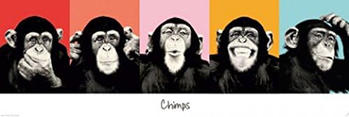 1art1 60482 Singes Poster de Porte Chimpanz&eacute;s Expressifs 158 x 53 cm