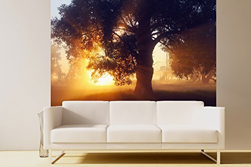 ge-Bildet® Vlies Fototapete zum Angebotspreis "the oak - Eiche" Baum natur Braun Sonnenaufgang - 200x133 cm direkt vom Hersteller aus Deutschland - Made in Germany