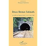 Amazon Fr Deux Beaux Salauds La Grande Rafle Vergne Jean Christophe Sauteron Francois Livres