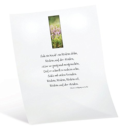 Folia 87400 – Transparentpapier, DIN A4, 10 Blatt, weiß - 3