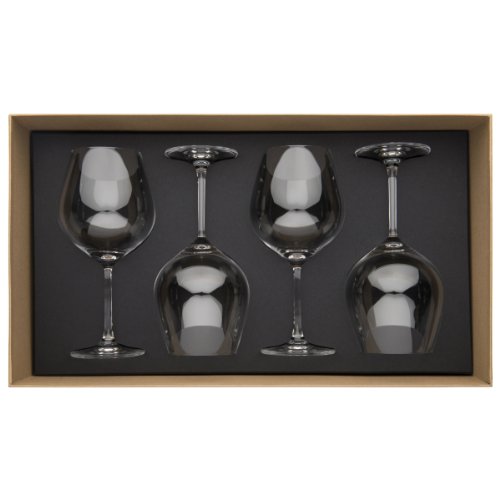 Guy Degrenne 206398 Coffret de 4 Verres à Bourgogne 75 cl