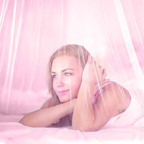 Mture Moskitonetz, Fliegennetz Mückennetz Insektennetz Spitze Betthimmel Moskitonetzen Rund Moskitonetz für Einzel – oder Doppelbetten Indoor or Outdoor Travel (Rosa) - 2