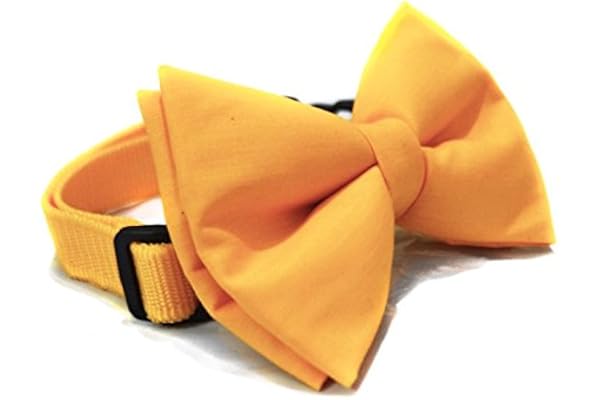 That Dog In Tuxedo Nylon Butter Yellow Solid Colour Dog Bow Tie (Size - XL), 26 inch