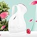 KINGA Nano Ionic Facial Steamer Hot Mist Moisturizing Cleaning Pores clear blackheads Acne Interior Humidifier Personal Sauna SPA System Skin Care Facial Atomizer Facial Hydration System Nano Sprayer