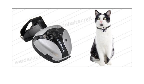 eyenimal collar