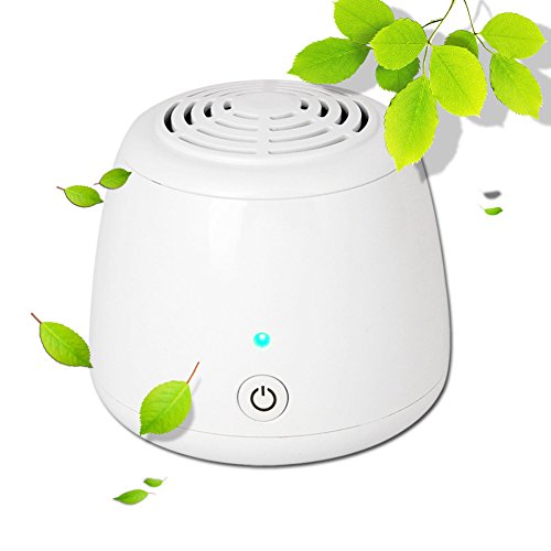 Mini Ozon Ionischer Luftreiniger, Ionisierer,Desinfektion Geruchskiller und Deodorizer für Kleiderschrank, Auto, Küche, Raucher, Bakterien und Gerüche beseitigen, per USB oder Batterien betreiben
