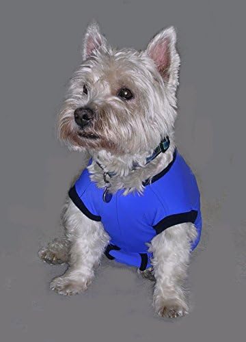 Jamjacks Medical Pet Suit (18)