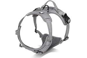 WINHYEPET True Love Harnais pour Chien Harnais Anti Traction pour Chien Réfléchissant Réglable, Harnais Rembourré Sécurisé, Harnais pour Chien Moyen et Grand, TLH5651(Gris,M)