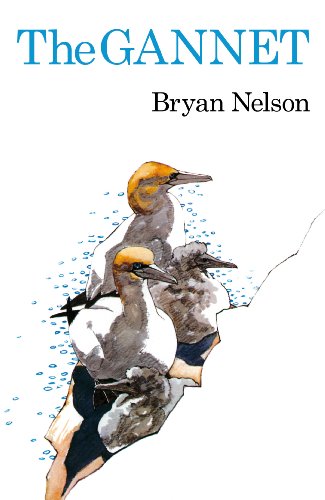The Gannet (Poyser Monographs) (English Edition) The Gannet (Poyser Monographs) (English Edition)