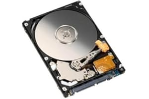 Bipra 2.5 Inch SATA Laptop Internal Hard Drive 5400 RPM 8MB Cache For Laptop/Mac/PS3 (320GB)