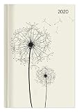 Buchkalender Style Blowballs 2020 - Bürokalender A5 - Cheftimer - 1 Tag 1 Seite - 352 Seiten - Terminplaner - Notizbuch - Pusteblume by