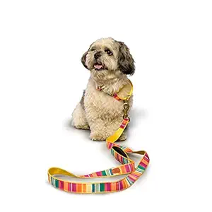 PetWale Dog Leash with Padded Handle for Walking Running Training, Comfortable Heavy Duty Colourful Stripes (Multicolour, L: 5 feet, W: 0.78