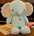 Produktbild HNBGY Süß 26cm hoch gefüllte Tier Elefant Plüsch Stofftier für New Born Baby Girl (grün)
