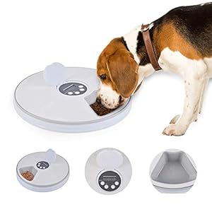 FOONEE Alimentador Automático para Mascotas, Alimentador de 6 Comidas, Alimentador de Mascotas Temporizado para Gatos, Perros y Conejos, Dispensador de Comida Seca o Semihúmeda para Cachorros/ Gatito