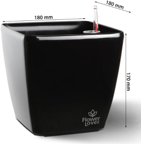 Flower lover Quadrato Indoor Or Outdoor Flower Planter Irrigated Self Watering With Water Level Indicator (18x18x17cm) - GLOSSY BLACK